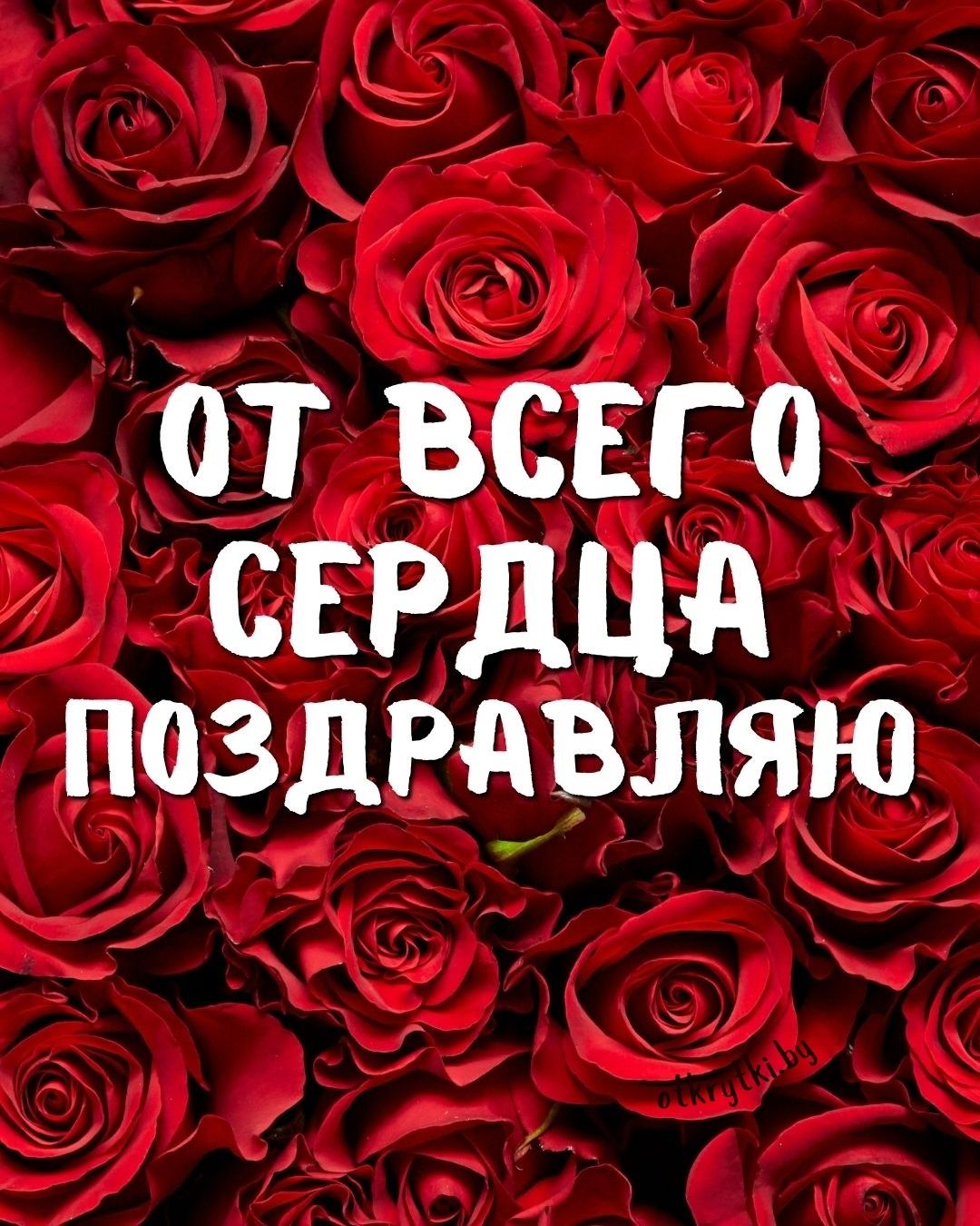 Картинка с розами поздравляю от всего сердца