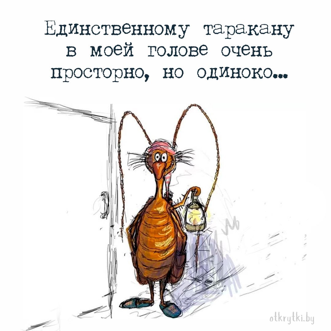 Красивая картинка про тараканов с юмором