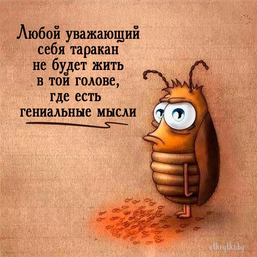 Виртуальная открытка про тараканов