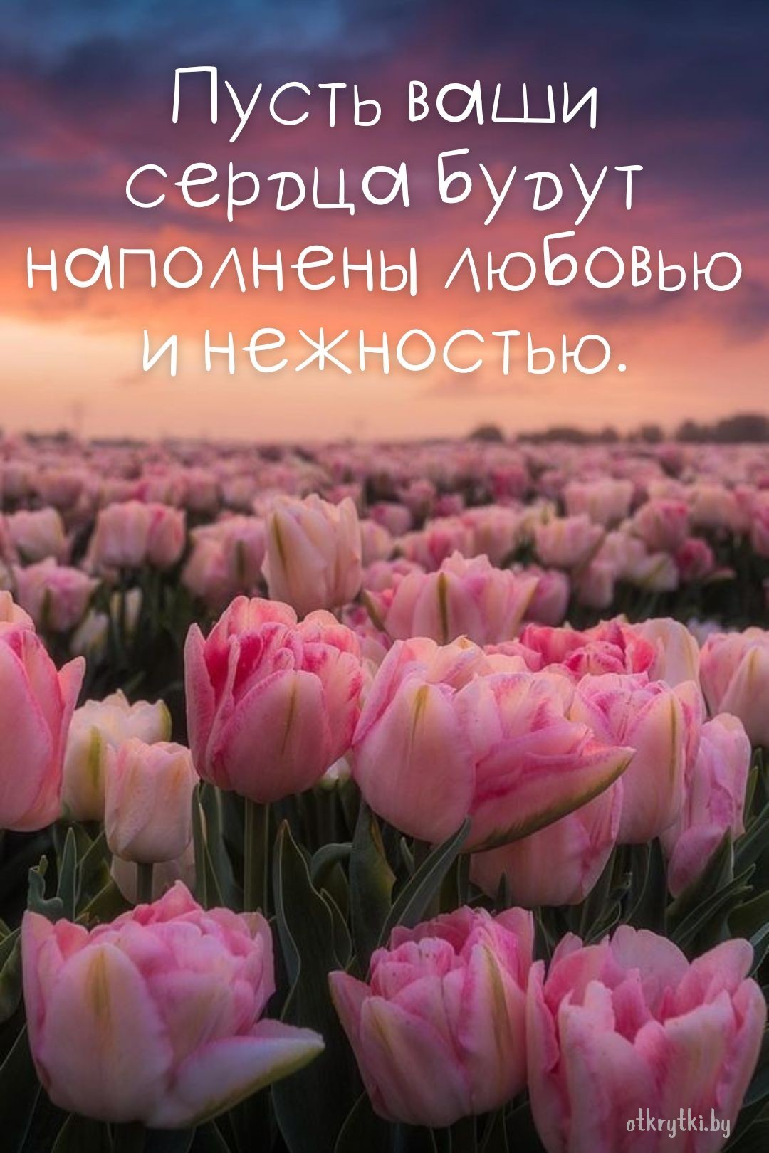 Виртуальная открытка с пожеланием с цветами