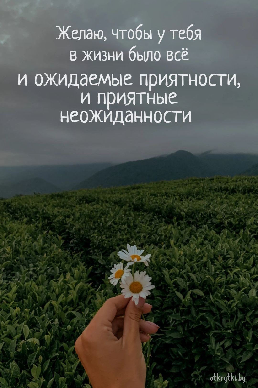 Яркая открытка с пожеланием с цветами