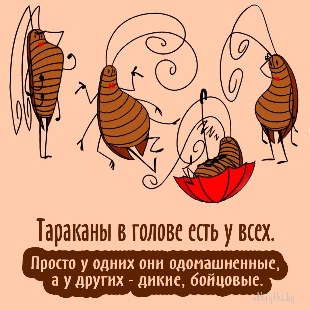 Замечательная открытка про тараканов
